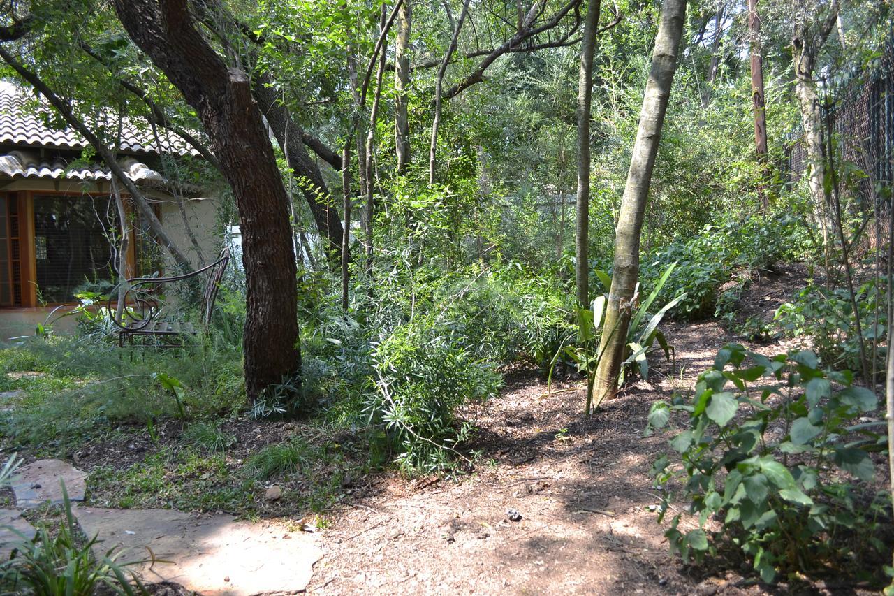 Lydall Wild Tranquil Garden Suites Joanesburgo Exterior foto